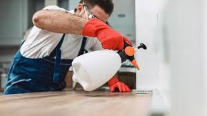 Best Residential Pest Control  in Ottawa, KS